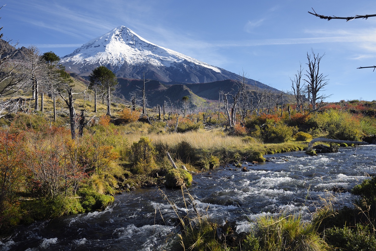 Lanin en otoo I