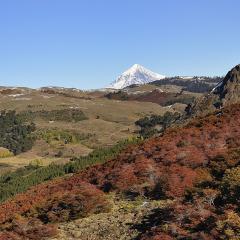 Lanin visto desde Aucapn