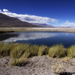 ojo del salar, hoy azul