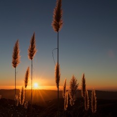 Amanecer