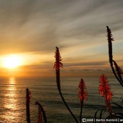 Amaneciendo en Mar del Plata