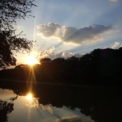 Atardecer