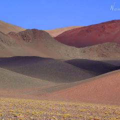 Colores en la ruta