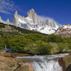 Fitz Roy y arroyo