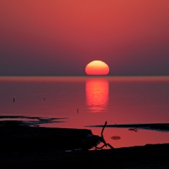 atardecer  en  ansenuza