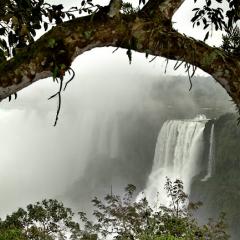 Ventana a Iguaz!