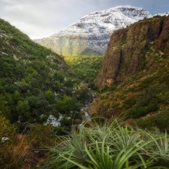 El Toyo