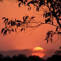Ocaso II ...