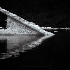Reflejos glidos