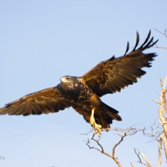 A volar!!