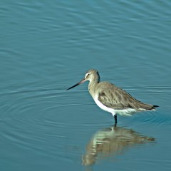 En el mar