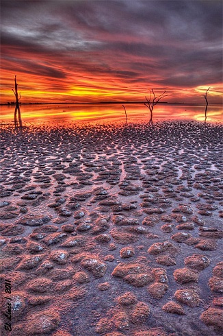 Atardecer en Mar Chiquita