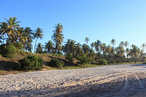 Playa solitaria