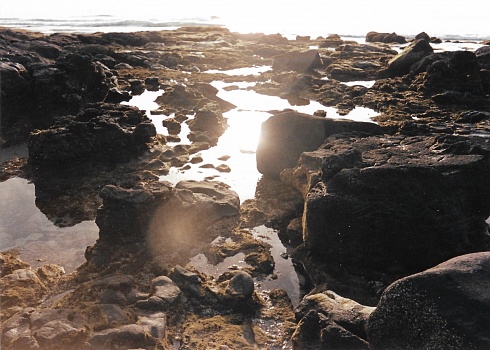 Playa con rocas volcnicas en Lanzarote, Islas Canarias