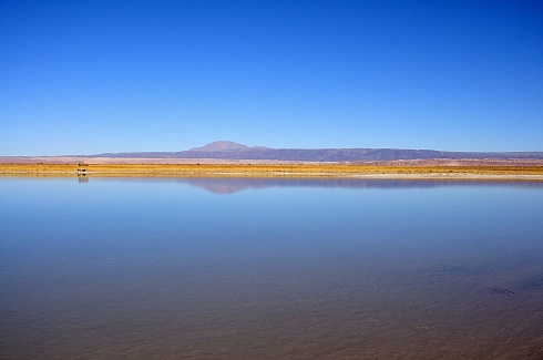 Laguna Cejar - ATACAMA