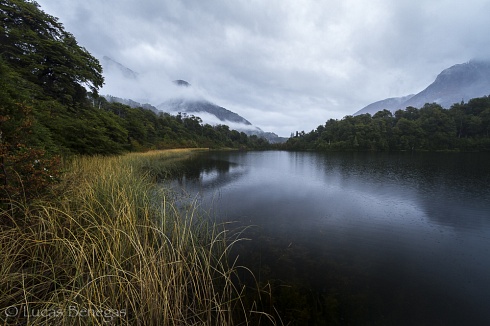 Bajo la lluvia