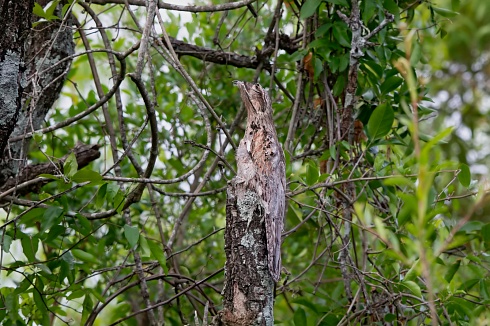 En el centro de la escena!