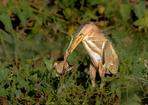 Supervivencia extrema