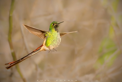 Levitando