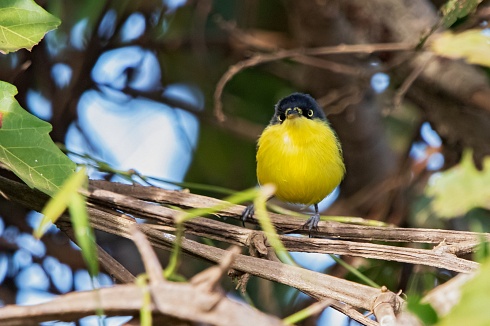 �Te estoy mirando!