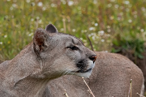Modo retrato observando el panorama