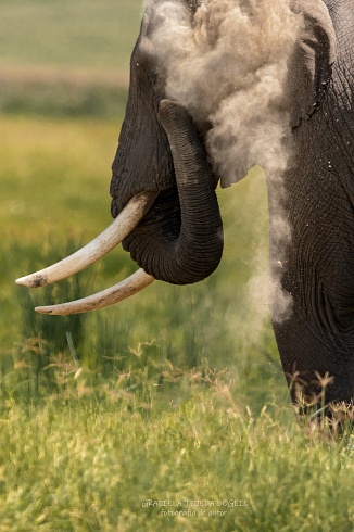 La intimidad de Ngorongoro